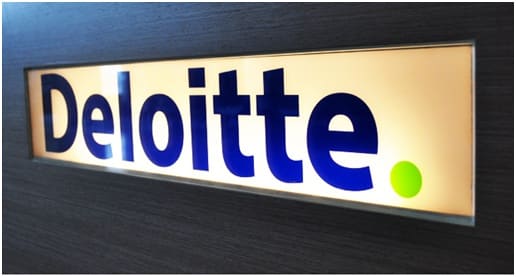 Deloitte Cost Benefit Analysis