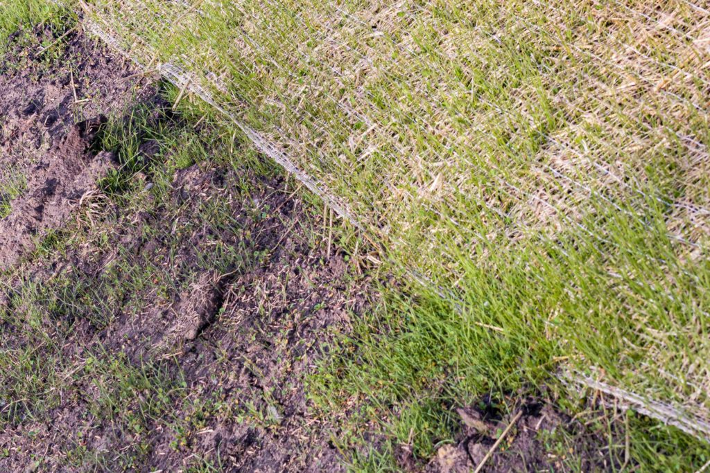 Landscaping erosion control net staw blanket